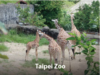 Taipei Zoo