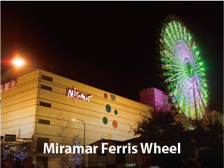 Miramar Ferris Wheel