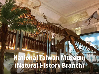 National Taiwan Museum(Natural History Branch)