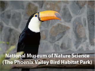 National Museum of Nature Science(The Phoenix Valley Bird Habitat Park)